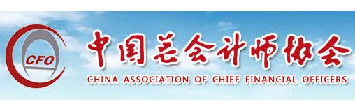 中国总会计师协会