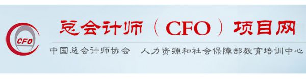 中国总会计师协会